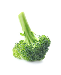 Fresh broccoli isolated on white. Edible green plant Photo of Fresh broccoli isolated on white. Edible green plant
