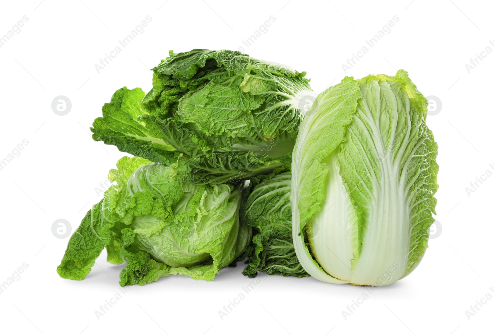 Photo of Fresh ripe Chinese cabbages on white background