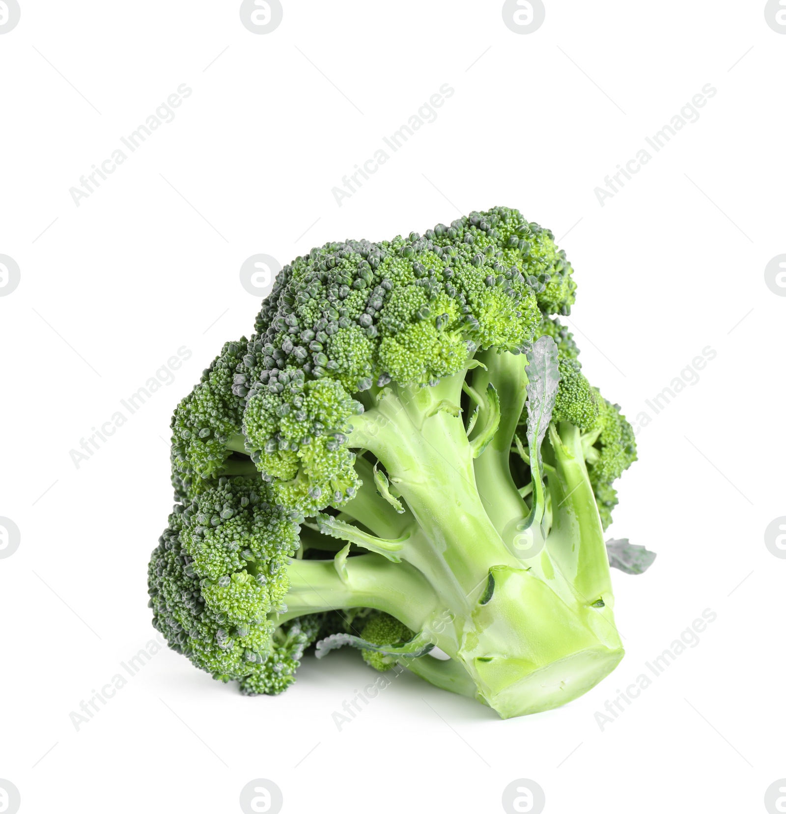 Fresh green raw broccoli on white background Photo of Fresh green raw broccoli on white background