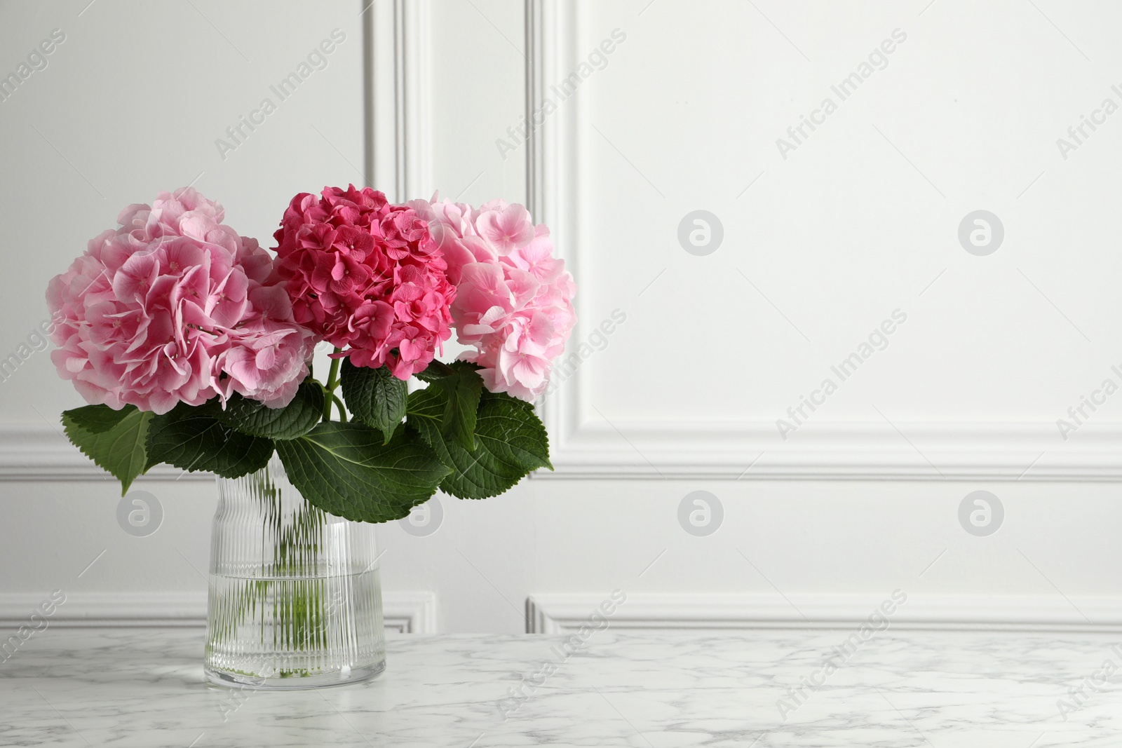 Vase with beautiful hortensia flowers on white marble table. Space for text Photo of Vase with beautiful hortensia flowers on white marble table. Space for text
