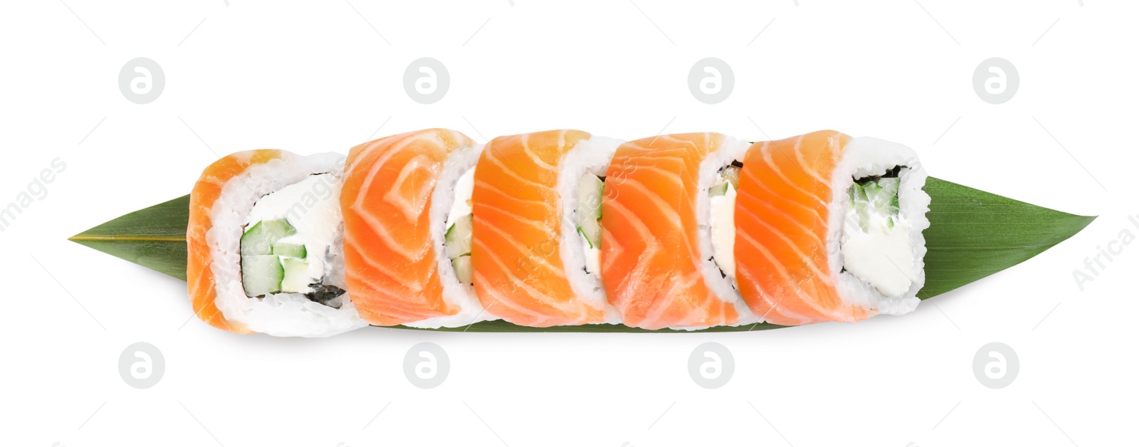 Tasty sushi rolls and green leaf on white background, top view Photo of Tasty sushi rolls and green leaf on white background, top view