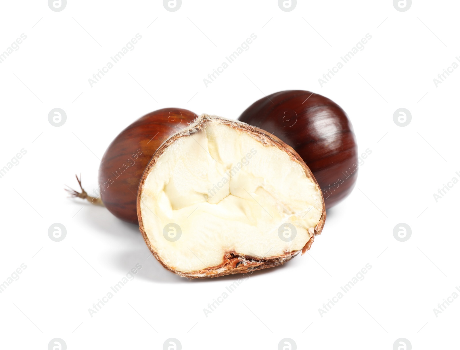 Fresh sweet edible chestnuts on white background Photo of Fresh sweet edible chestnuts on white background