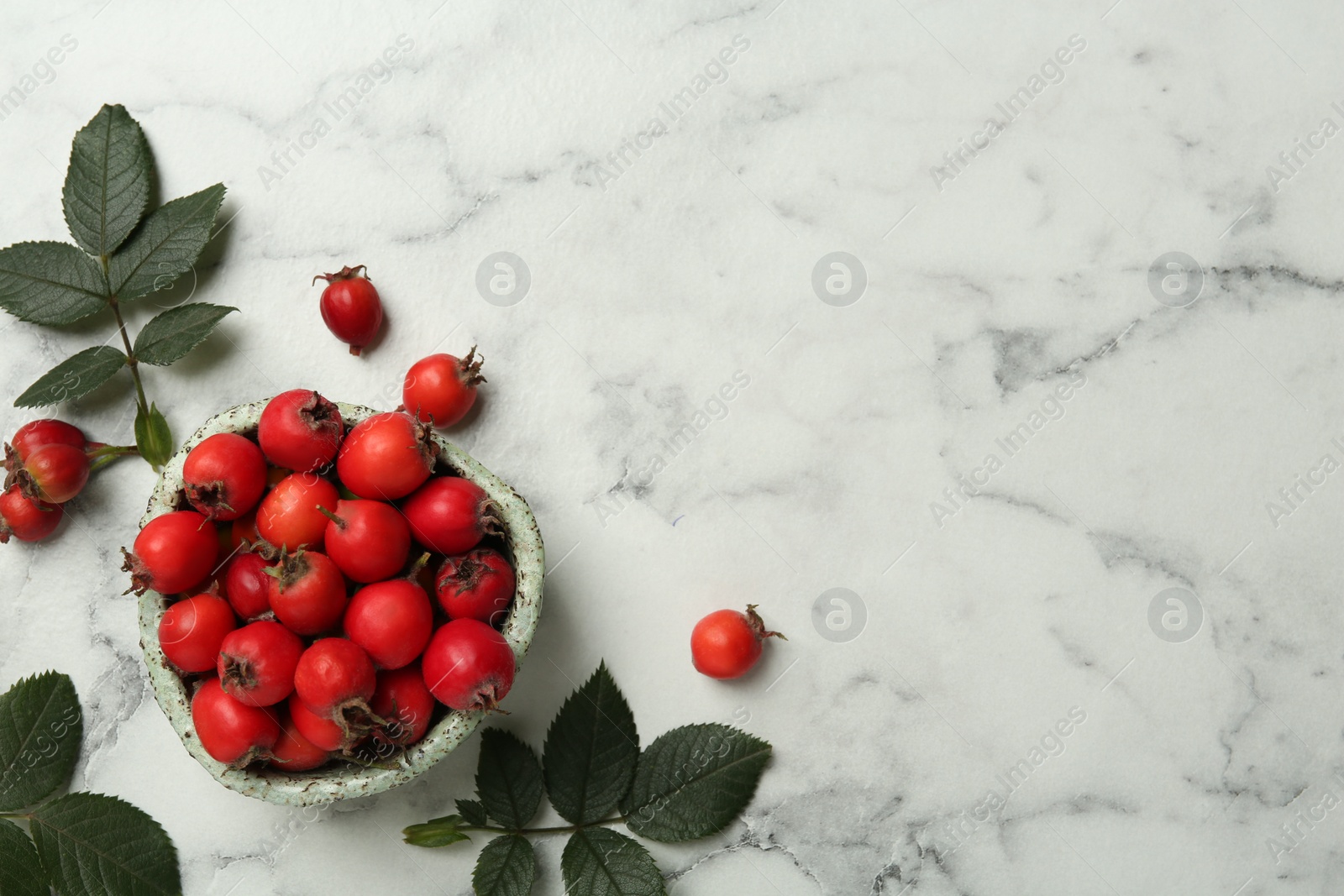 Ripe rose hip berries with green leaves on white marble table, flat lay. Space for text Photo of Ripe rose hip berries with green leaves on white marble table, flat lay. Space for text