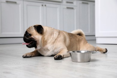 Cute pug dog suffering from heat stroke near bowl of water on floor at home Photo of Cute pug dog suffering from heat stroke near bowl of water on floor at home