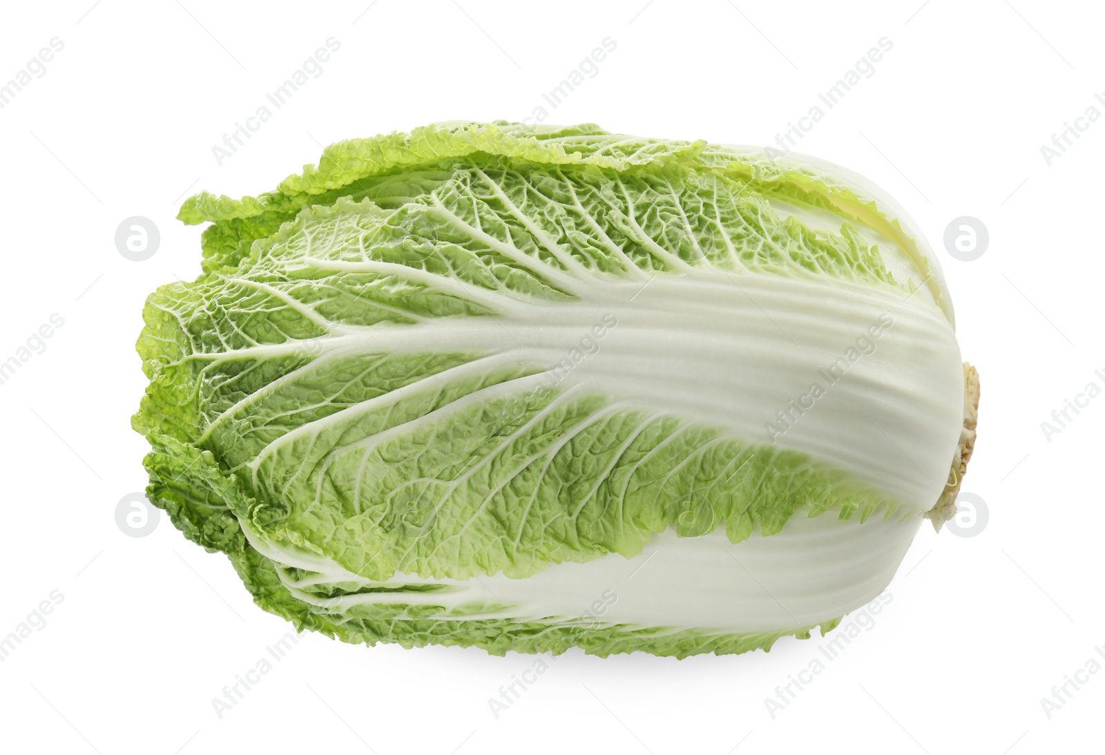 Fresh ripe Chinese cabbage isolated on white Photo of Fresh ripe Chinese cabbage isolated on white